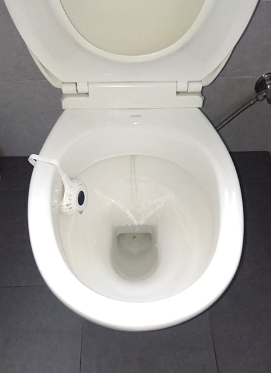 inside toilet bowl